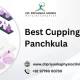 Best Cupping Therapist In Panchkula (1)